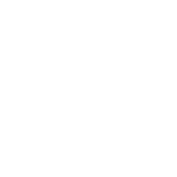 access logo