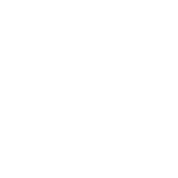 shadeesoflife logo